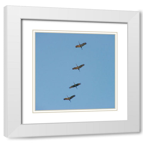 Hiwassee Refuge 4 White Modern Wood Framed Art Print with Double Matting by Lee, Rachel