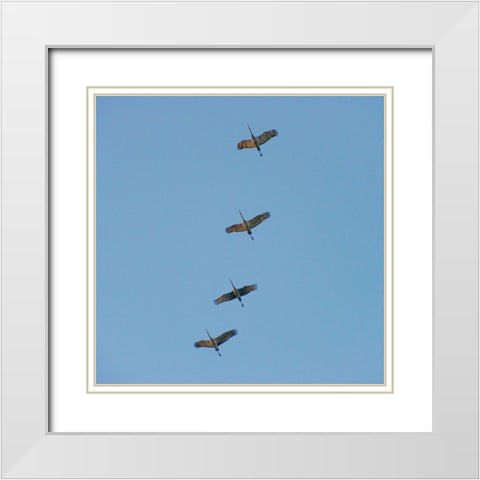 Hiwassee Refuge 4 White Modern Wood Framed Art Print with Double Matting by Lee, Rachel