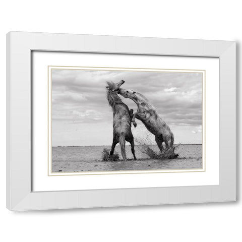Horse 1 White Modern Wood Framed Art Print with Double Matting by Lee, Rachel