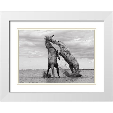 Horse 1 White Modern Wood Framed Art Print with Double Matting by Lee, Rachel