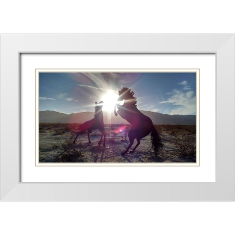 Horse 3 White Modern Wood Framed Art Print with Double Matting by Lee, Rachel