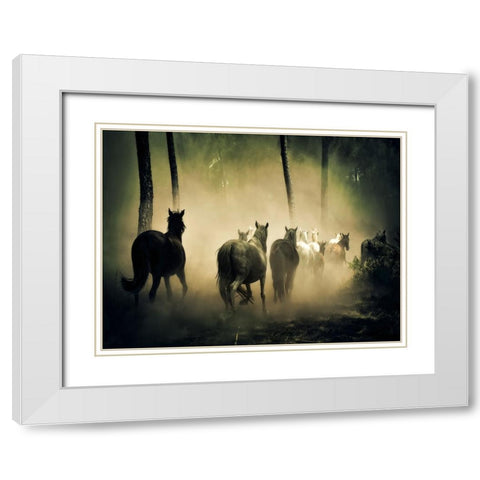 Horse 4 White Modern Wood Framed Art Print with Double Matting by Lee, Rachel