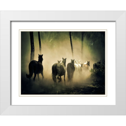 Horse 4 White Modern Wood Framed Art Print with Double Matting by Lee, Rachel