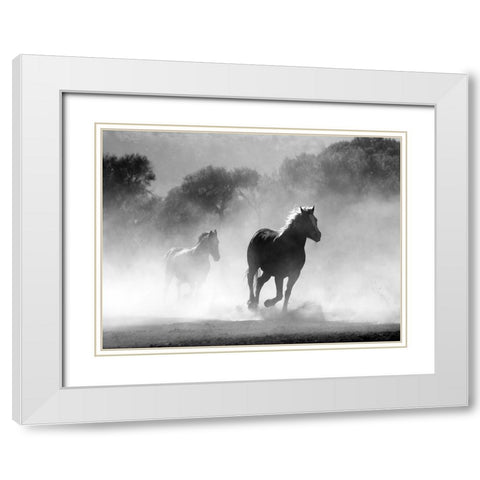Horse 6 White Modern Wood Framed Art Print with Double Matting by Lee, Rachel
