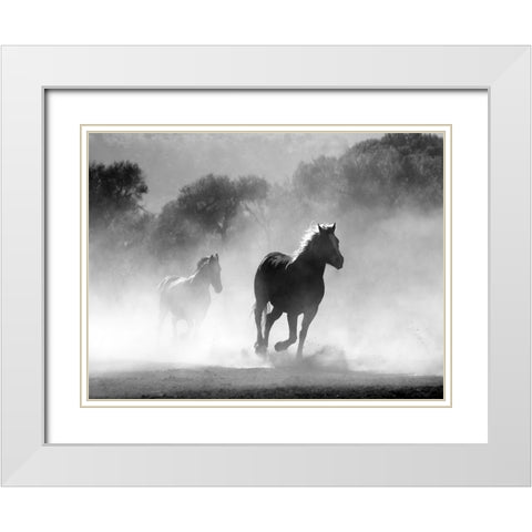 Horse 6 White Modern Wood Framed Art Print with Double Matting by Lee, Rachel