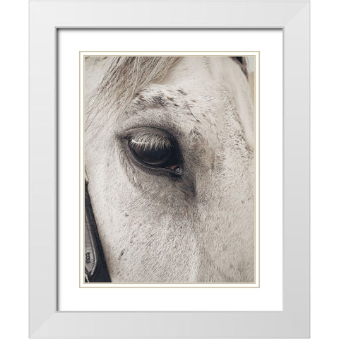 Horse 7 White Modern Wood Framed Art Print with Double Matting by Lee, Rachel