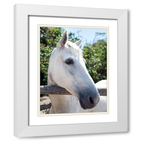 Horse 8 White Modern Wood Framed Art Print with Double Matting by Lee, Rachel