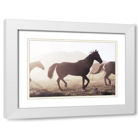 Horse 11 White Modern Wood Framed Art Print with Double Matting by Lee, Rachel