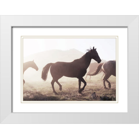 Horse 11 White Modern Wood Framed Art Print with Double Matting by Lee, Rachel