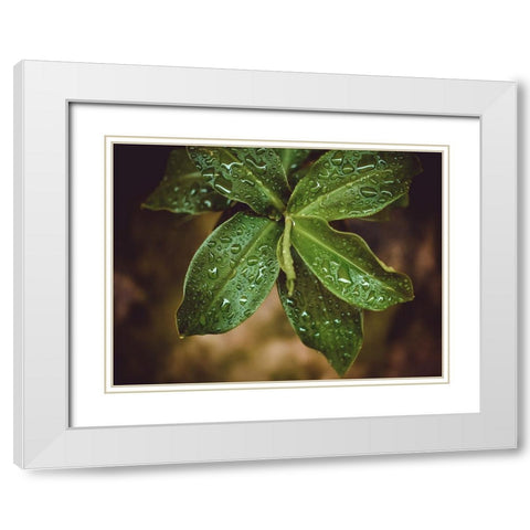 Leaves 12 White Modern Wood Framed Art Print with Double Matting by Lee, Rachel