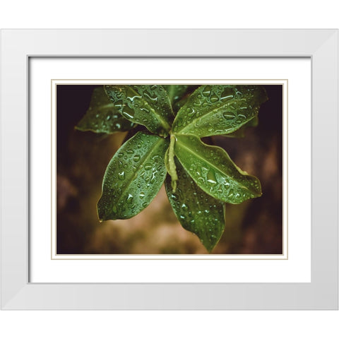 Leaves 12 White Modern Wood Framed Art Print with Double Matting by Lee, Rachel