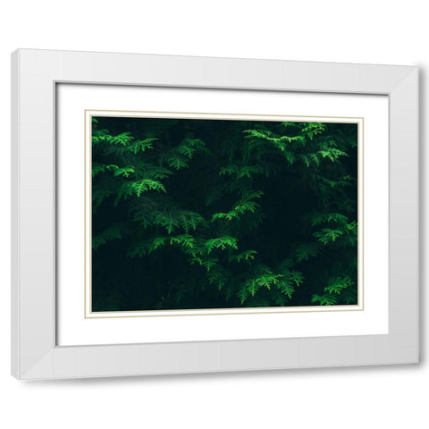 Leaves 16 White Modern Wood Framed Art Print with Double Matting by Lee, Rachel