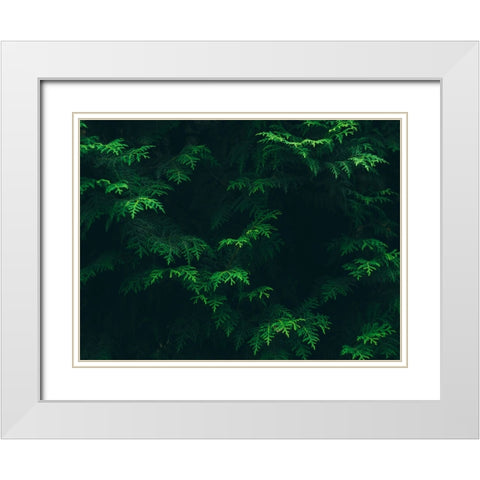 Leaves 16 White Modern Wood Framed Art Print with Double Matting by Lee, Rachel
