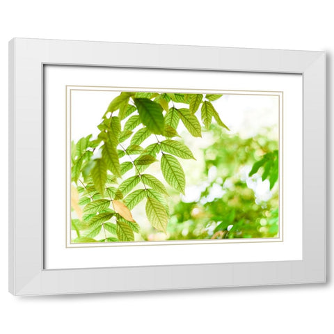 Leaves 4 White Modern Wood Framed Art Print with Double Matting by Lee, Rachel