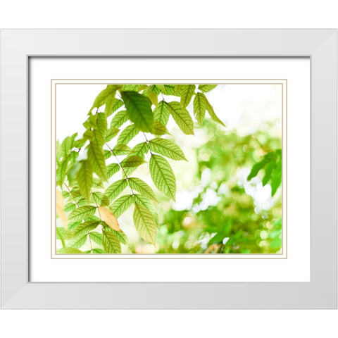 Leaves 4 White Modern Wood Framed Art Print with Double Matting by Lee, Rachel