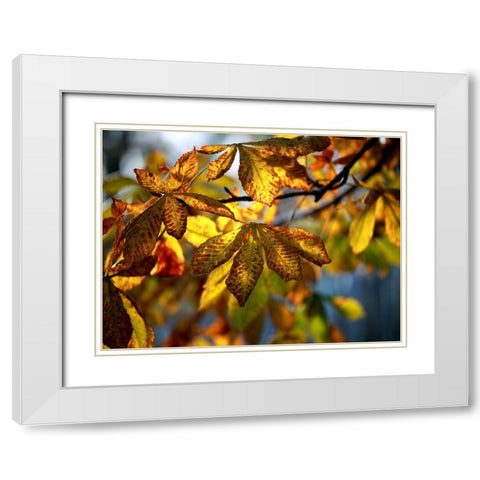 Leaves 7 White Modern Wood Framed Art Print with Double Matting by Lee, Rachel