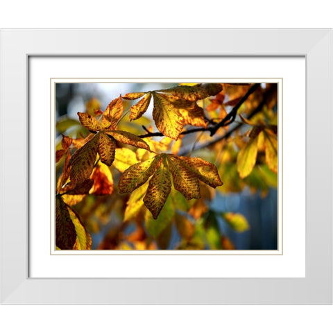 Leaves 7 White Modern Wood Framed Art Print with Double Matting by Lee, Rachel