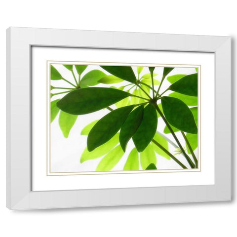 Leaves 9 White Modern Wood Framed Art Print with Double Matting by Lee, Rachel