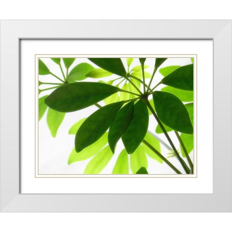 Leaves 9 White Modern Wood Framed Art Print with Double Matting by Lee, Rachel