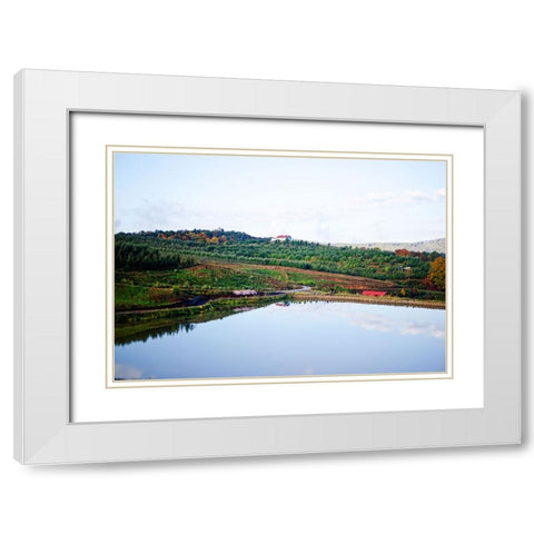 Merciers Orchard White Modern Wood Framed Art Print with Double Matting by Lee, Rachel