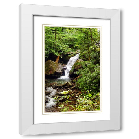 Mountain Laurel and Falls White Modern Wood Framed Art Print with Double Matting by Lee, Rachel