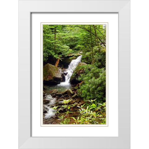 Mountain Laurel and Falls White Modern Wood Framed Art Print with Double Matting by Lee, Rachel