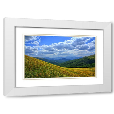 Mountain View 10 White Modern Wood Framed Art Print with Double Matting by Lee, Rachel