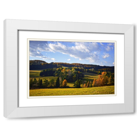 Mountain View 13 White Modern Wood Framed Art Print with Double Matting by Lee, Rachel