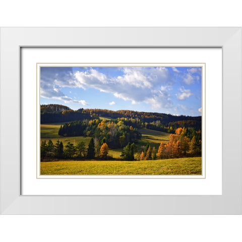 Mountain View 13 White Modern Wood Framed Art Print with Double Matting by Lee, Rachel