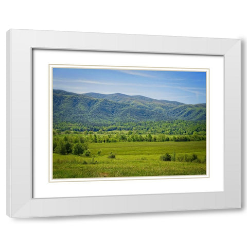 Mountain View 24 White Modern Wood Framed Art Print with Double Matting by Lee, Rachel
