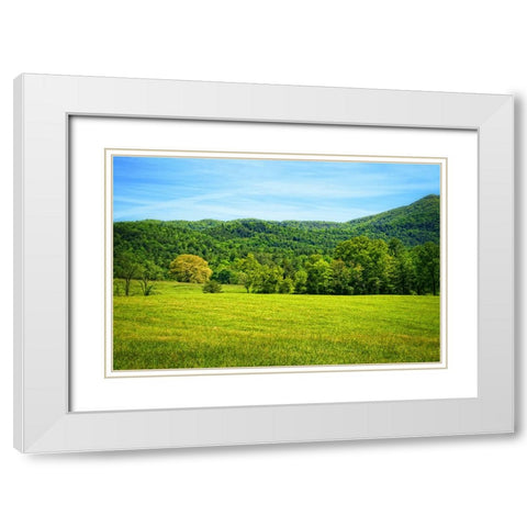 Mountain View 25 White Modern Wood Framed Art Print with Double Matting by Lee, Rachel