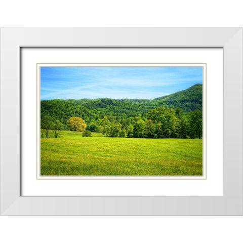 Mountain View 25 White Modern Wood Framed Art Print with Double Matting by Lee, Rachel