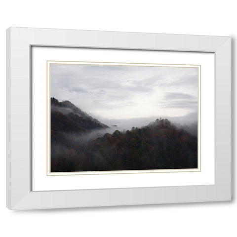 Mountain View 32 White Modern Wood Framed Art Print with Double Matting by Lee, Rachel