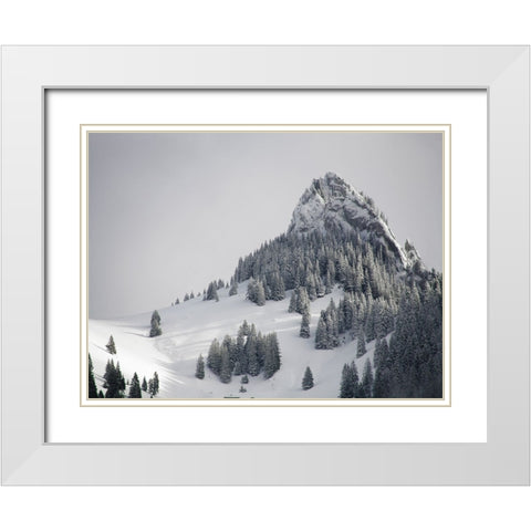 Mountain View 38 White Modern Wood Framed Art Print with Double Matting by Lee, Rachel