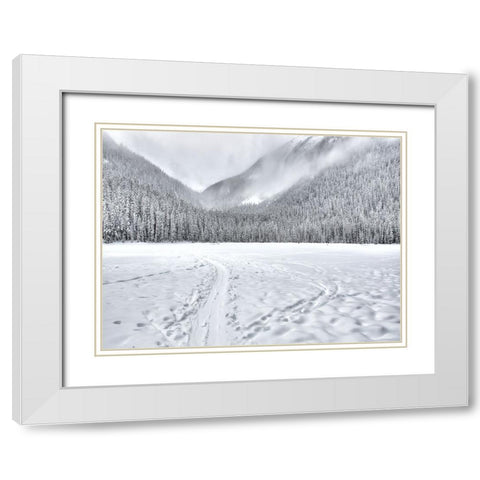 Mountain View 67 White Modern Wood Framed Art Print with Double Matting by Lee, Rachel
