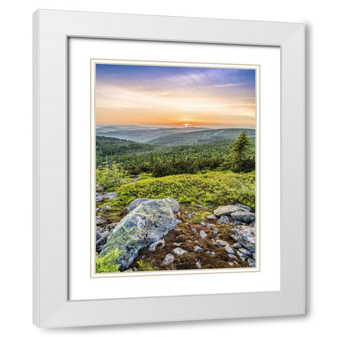 Mountain View 73 White Modern Wood Framed Art Print with Double Matting by Lee, Rachel