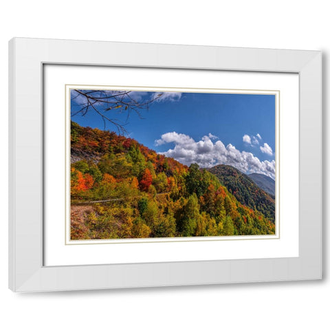 NC Fall Mountains 6 White Modern Wood Framed Art Print with Double Matting by Lee, Rachel