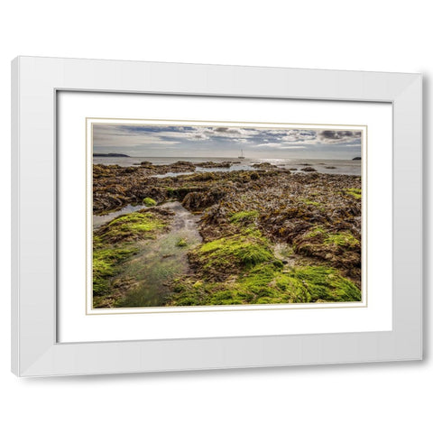 Ocean 54 White Modern Wood Framed Art Print with Double Matting by Lee, Rachel