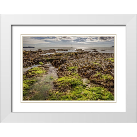 Ocean 54 White Modern Wood Framed Art Print with Double Matting by Lee, Rachel
