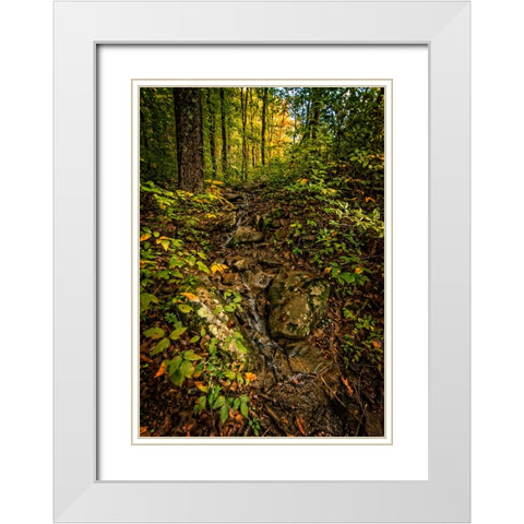 Pocket Wilderness 1 White Modern Wood Framed Art Print with Double Matting by Lee, Rachel