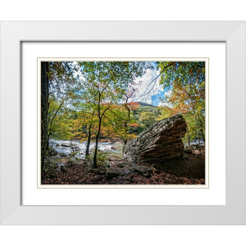 Pocket Wilderness 2 White Modern Wood Framed Art Print with Double Matting by Lee, Rachel
