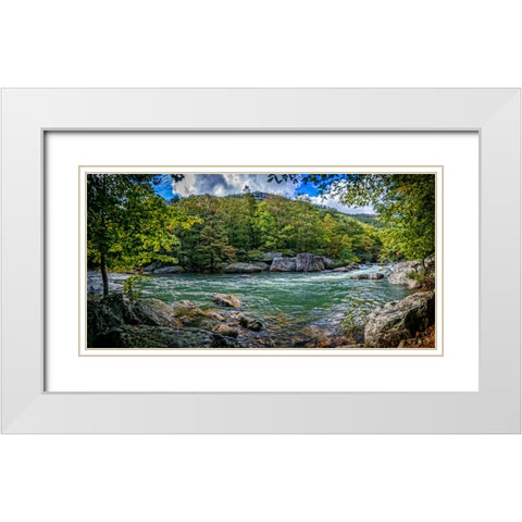Pocket Wilderness 4 White Modern Wood Framed Art Print with Double Matting by Lee, Rachel