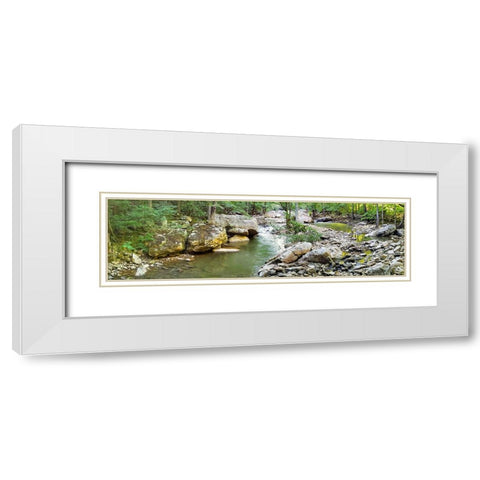 Pocket Wilderness Dayton 3 White Modern Wood Framed Art Print with Double Matting by Lee, Rachel