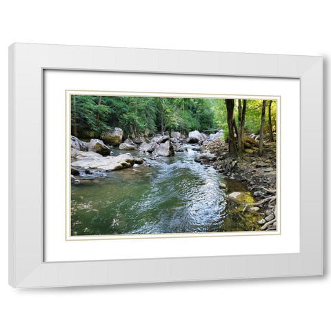 Pocket Wilderness Dayton 4 White Modern Wood Framed Art Print with Double Matting by Lee, Rachel