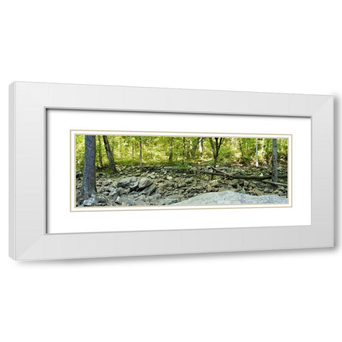 Pocket Wilderness Dayton 6 White Modern Wood Framed Art Print with Double Matting by Lee, Rachel