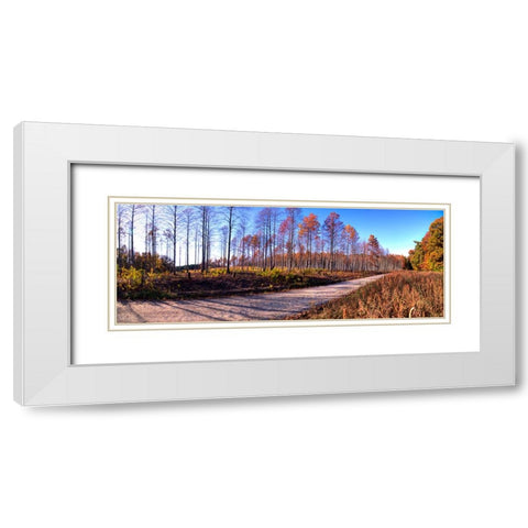 Prentice Road Pano White Modern Wood Framed Art Print with Double Matting by Lee, Rachel