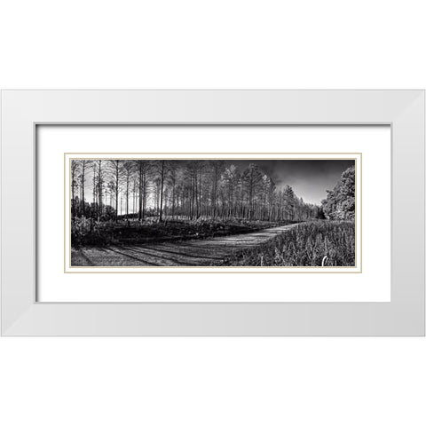 Prentice Road Pano BW White Modern Wood Framed Art Print with Double Matting by Lee, Rachel
