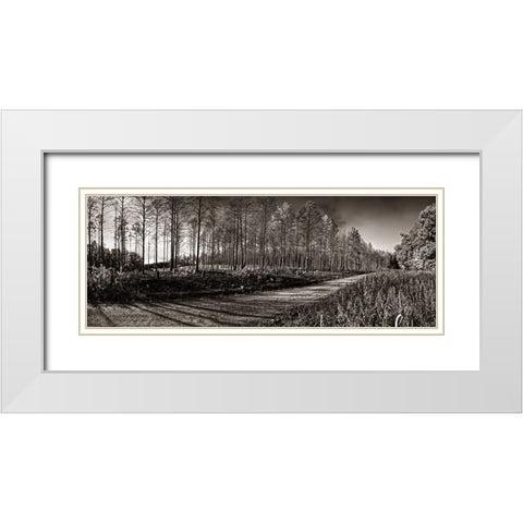 Prentice Road Pano Sepia White Modern Wood Framed Art Print with Double Matting by Lee, Rachel