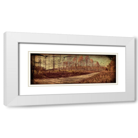 Prentice Road Pano Vintage White Modern Wood Framed Art Print with Double Matting by Lee, Rachel
