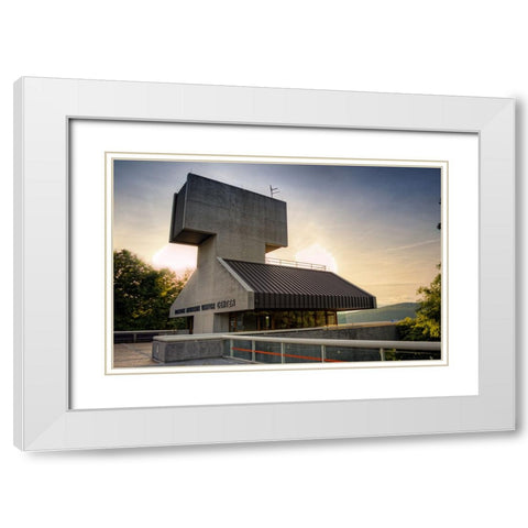 Raccoon Observatory White Modern Wood Framed Art Print with Double Matting by Lee, Rachel